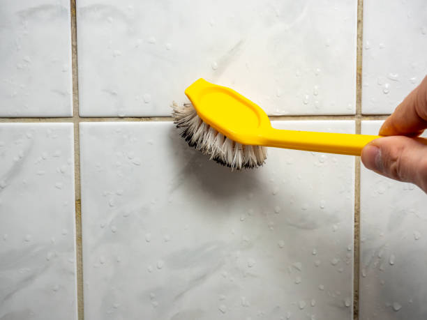 Best Emergency Mold Remediation in Mount Olive, IL
